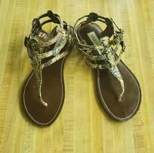 Steve Madden Sahara Sandals